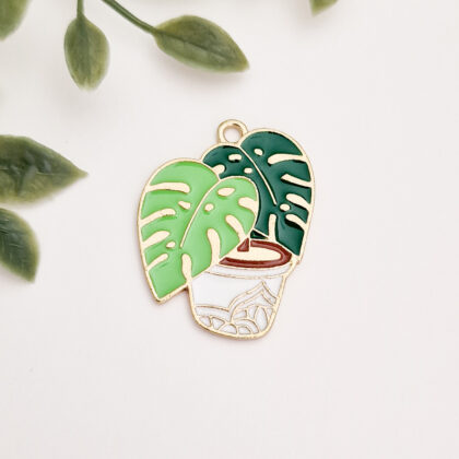 Anheng, potteplante, monstera